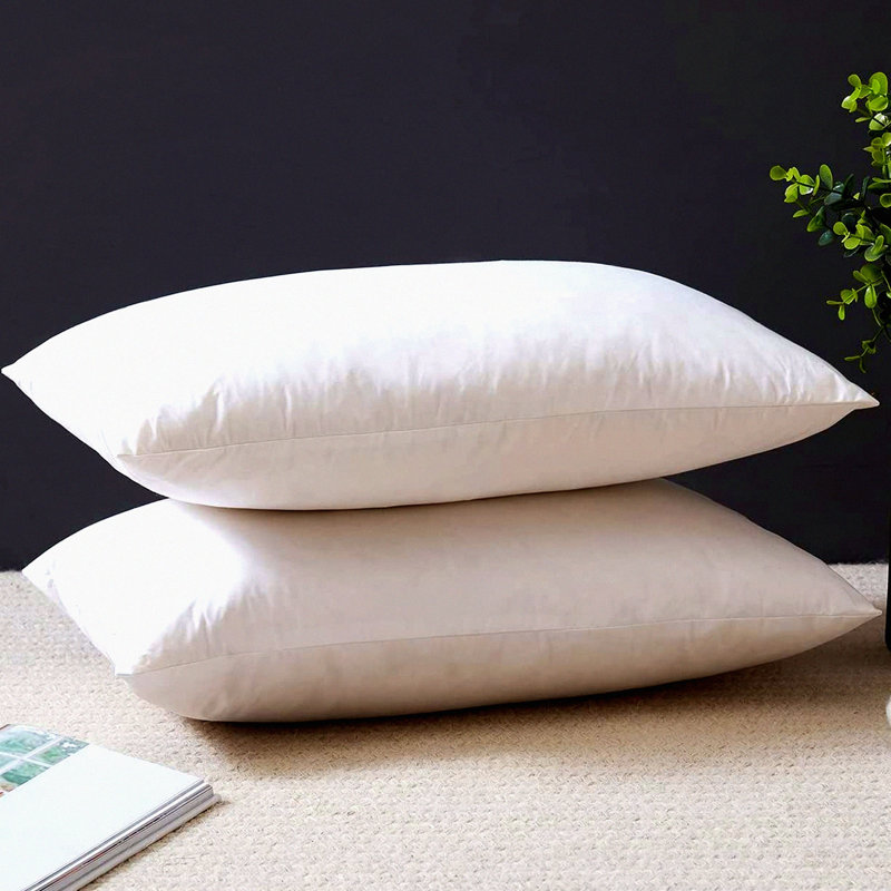 Premium Cotton Lumbar Throw Pillow Inserts - Set of 2 Square Form Sham Stuffer for Sofa Cushion Couch - Hypoallergenic White Decorative