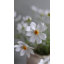 Real Touch Cosmos Faux Floral-1744923473