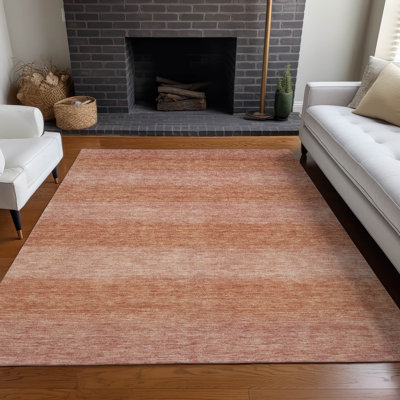 Tapis terre cuite intérieur / extérieur lavable à la machine