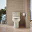 Adair 1.28 GPF Water Efficient Elongated One-Piece toilet (Seat Included)-65043899-10397008