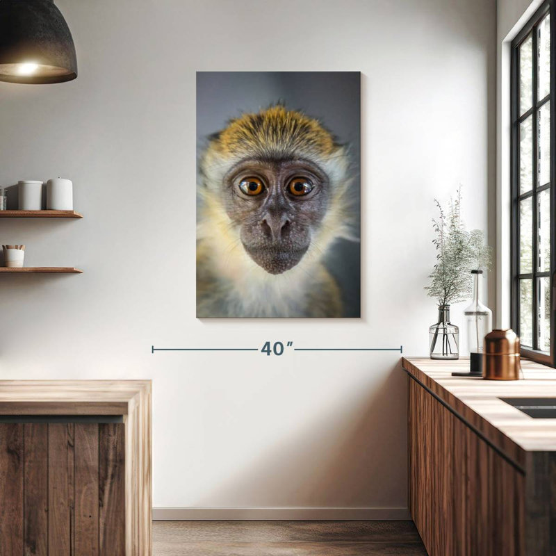 Brampt Vervet Monkey, 39" H x 26" W
