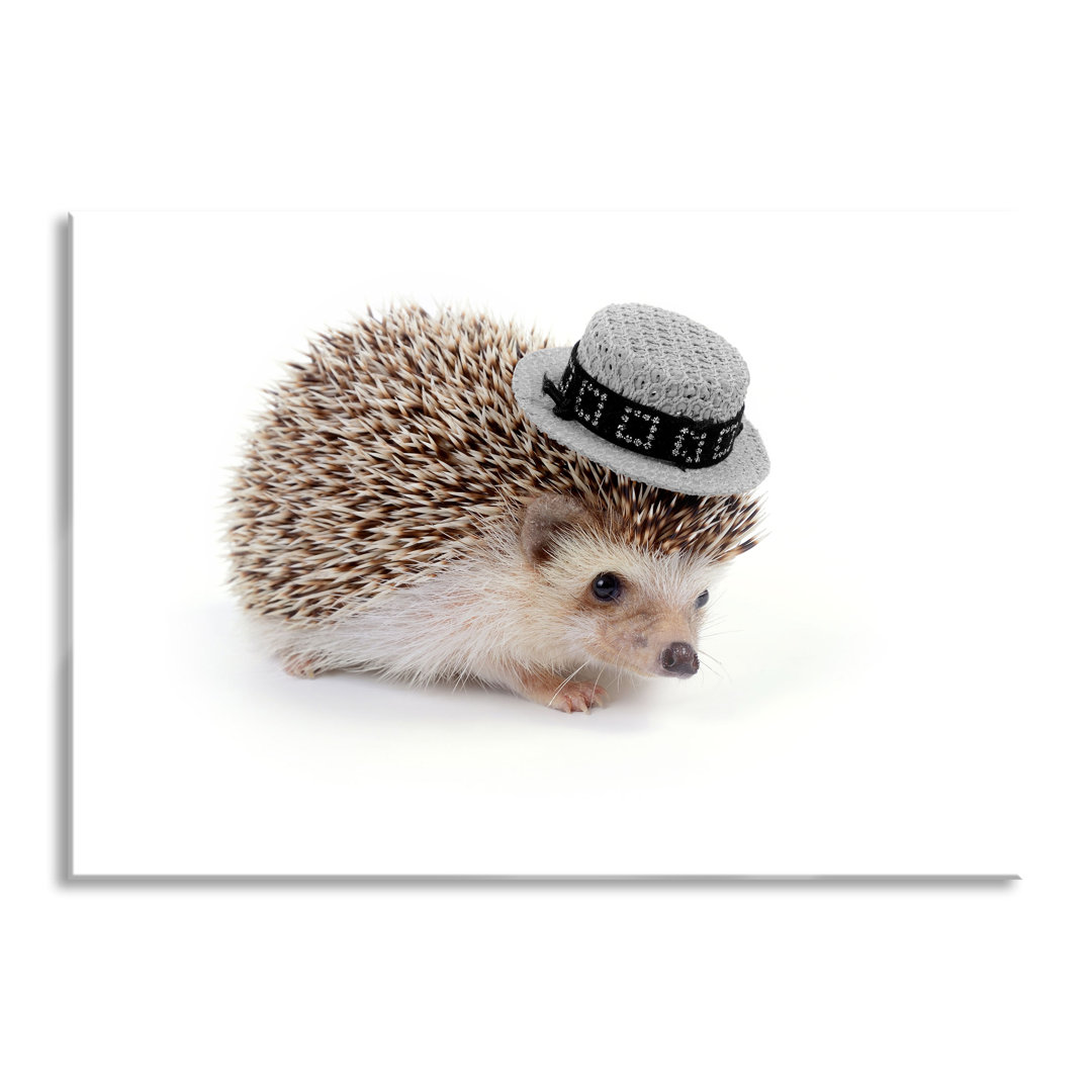 Glasbild Süßer Igel mit Hut