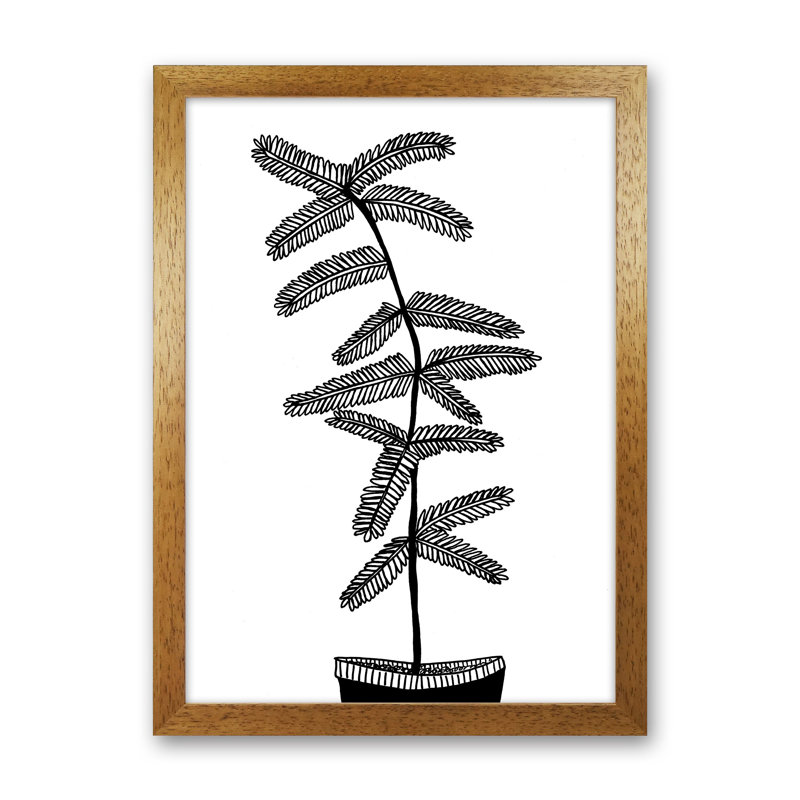 Mimosa by Carissa Tanton - Print, 46cm H x 34cm W x 3cm D, Oak Framed
