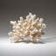 Genuine White Cat's Paw Coral (5 Lbs)
