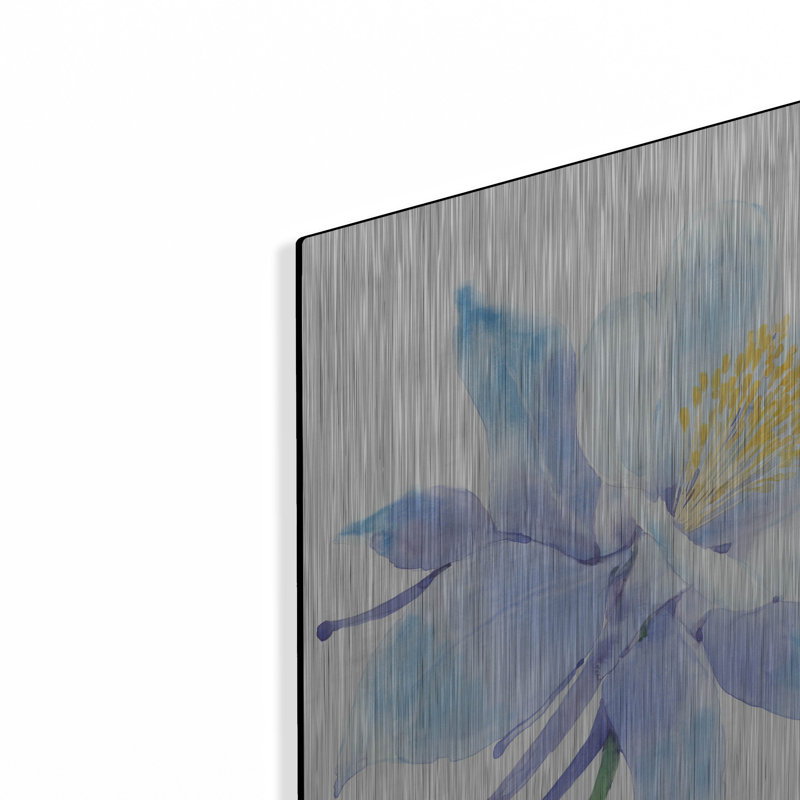 Art mural luxueux «Columbine Bloom I» par Tim O'Toole, art mural en métal, H 24 po x l 16 po