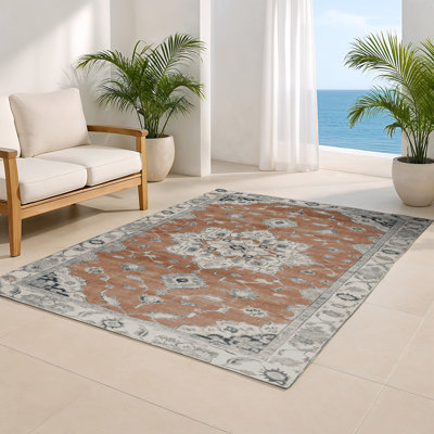 Tapis intérieur et extérieur brun Overdyed
