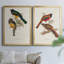 Toile encadrée de qualité supérieure Elegant Trogons III - prête à être accrochée-1080235504-1080235400