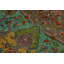 Tapis traditionnel en laine 9 x 12