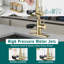 Topcraft Single-Hole Single-Handle Pull-Down Kitchen Faucet With Base Plate-125501516
