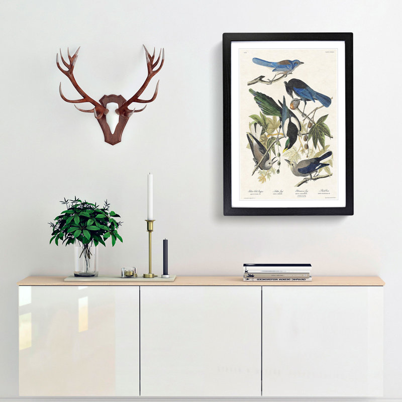 Magpie, Crow & Jay Birds by John James Audubon - Picture Frame Art Print, Black Framed, 65cm H x 48cm W x 2cm D