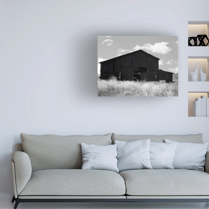 Art sur toile noir Molly Collection, H 14 po x l 19 po