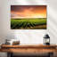 Alvord Vineyard Sunset Horizon-107922910