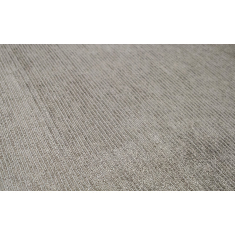 Area Rug in Gray