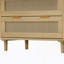 Tiroirs, armoire de rangement en rotin, pour chambre à coucher, salon