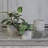 Raynor Pot Planter