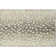 Tapis Edmonds