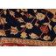 Parleen Wool Oriental Rug