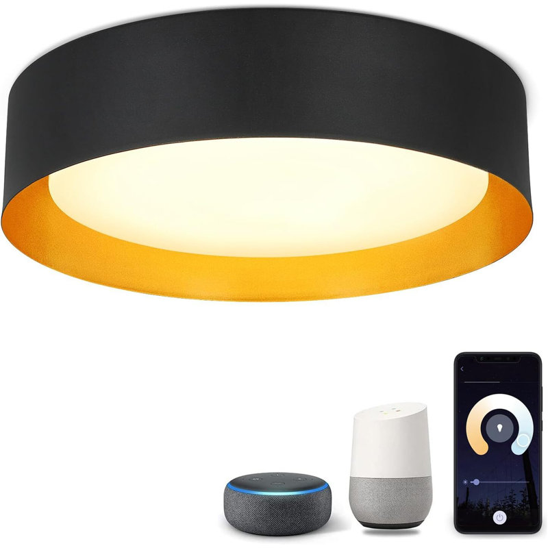 Janulia 15in LED Flush Mount, Modern Dimmable APP Remote Control