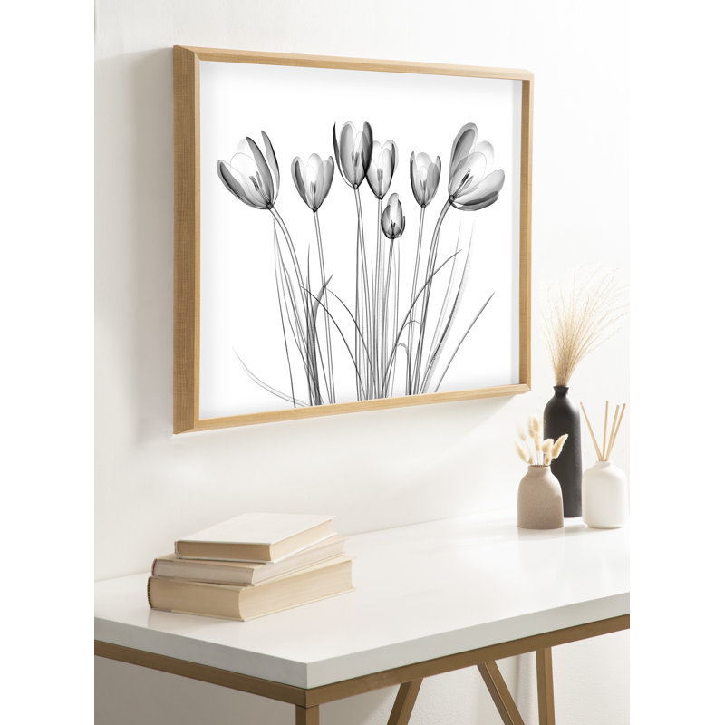 Art mural en verre Crocus X Ray Floral BW par The Creative Bunch Studio