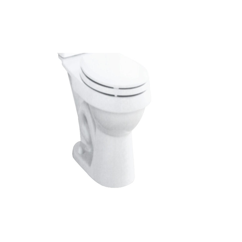 Rockton Dual Flush Elongated Toilet Bowl Only, White