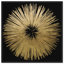 «Abstract Sunburst Golden Night», impression-119864314-66687861-51241197