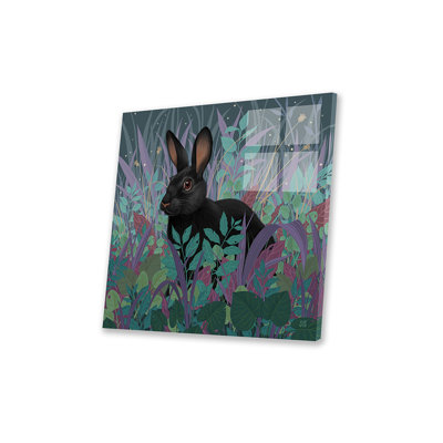 Lapin noir par Vasilisa Romanenko