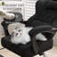 Office Chair-2101864033