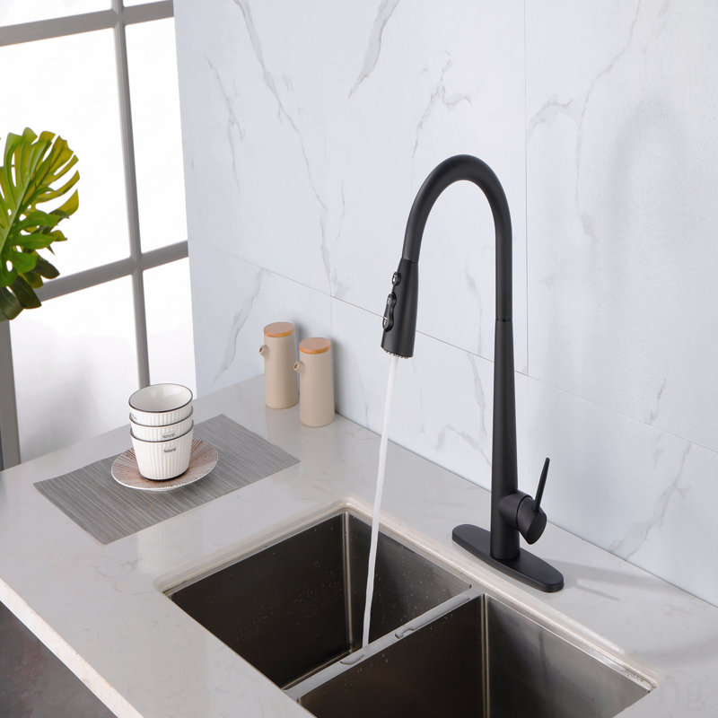 Robinet d'évier de cuisine à poignée simple en acier inoxydable avec douchette extractible, Noir mat