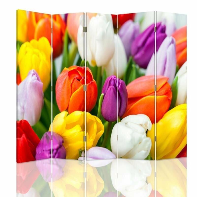 Paravent Tulips mit 5 Paneelen