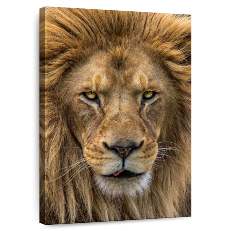 Brampt Handsome Lion Head, 48" H x 32" W