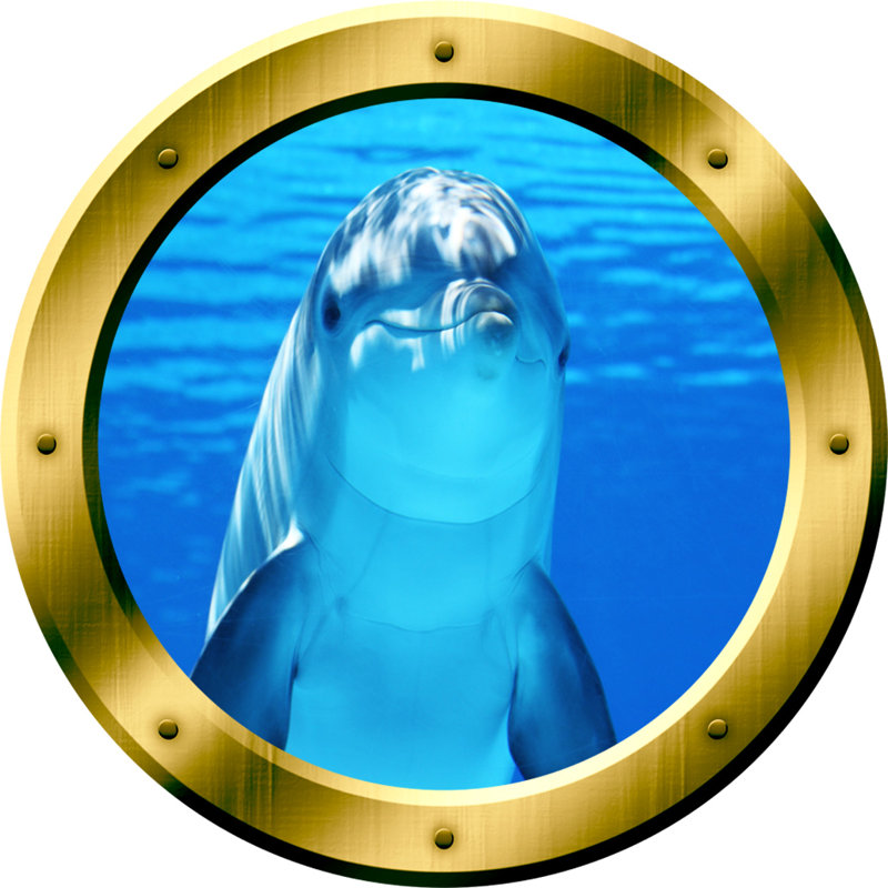 Adhésif décoratif hublot dauphin, H 20 po x l 20 po x P 0,01 po, Or