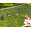 Riverton Weather Resistant Small Animal Playpen-37577395