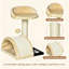 Cat Tree Kitten Activity Centre with Sisal Scratching Post & Hanging Toy Ball-2031009153