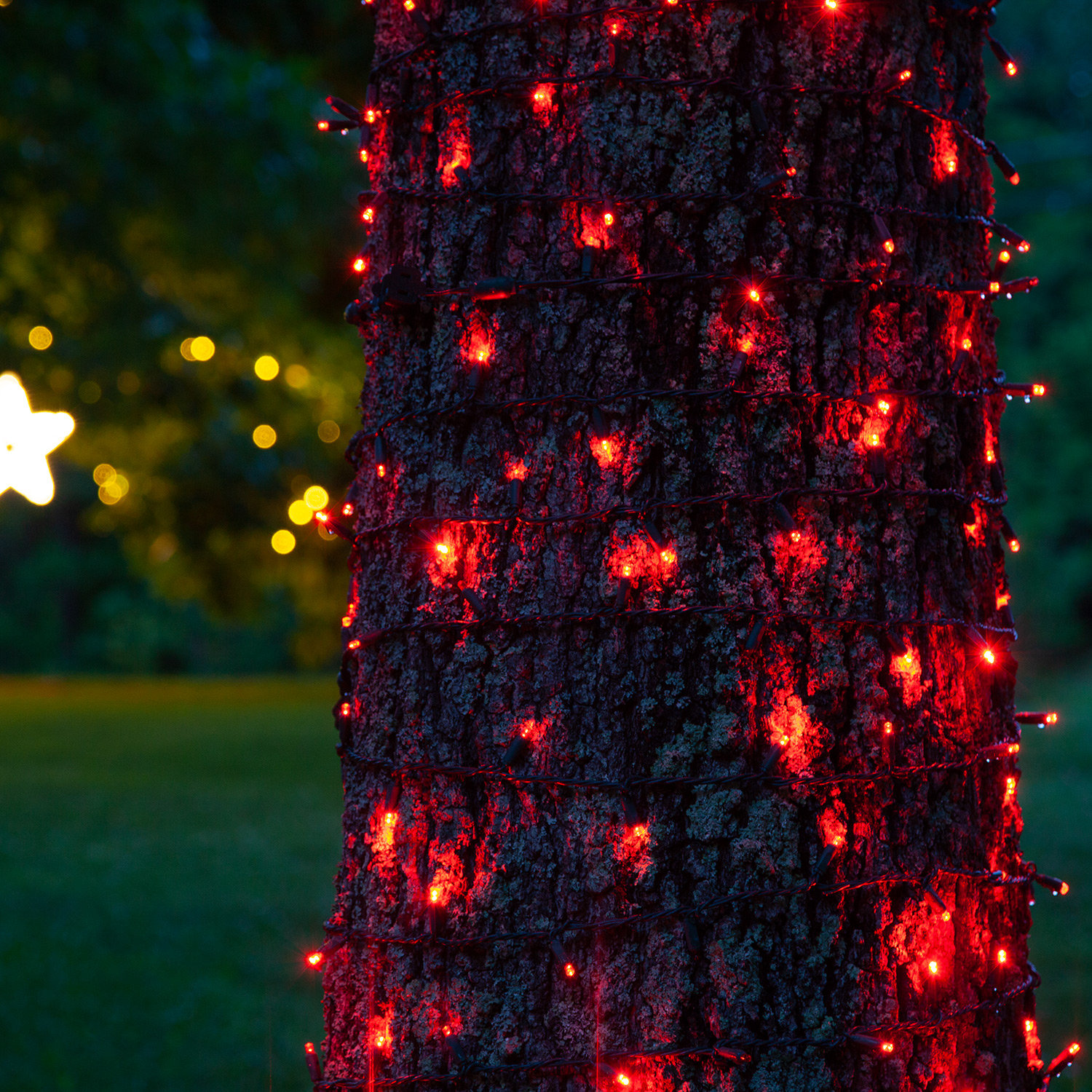 17' LED Twinkle String Lights, Red