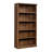 Alexsia Standard Bookcase-1436292308-1345507357