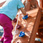 Dolphin Playground Luxury Cedar Playground Set: Double Wave Slide, 2-in-1 Table, Monkey Bars, Balance Beam, 3 Swings, Large Rock Wall, Wood Roof
