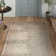 Colisha Oriental Indoor Rug