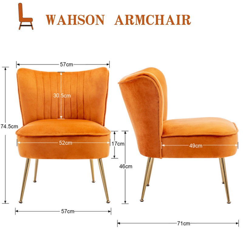 Allyna Modern Velvet Accent Chair Armchair with Metal Legs for Living Room/Bedroom, Multi-coloured