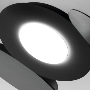Mickey Flush Mount