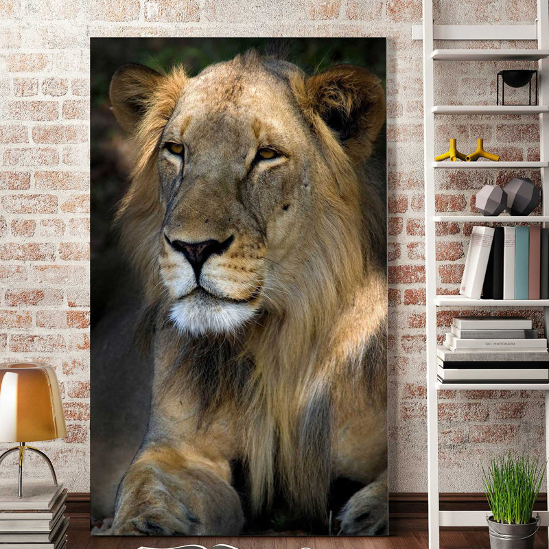 «Cape Lion», reproduction de photo, H 30 po x l 18 po x P 1 po, Toile tendue