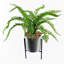 40cm Faux Plant in Ceramic Pot