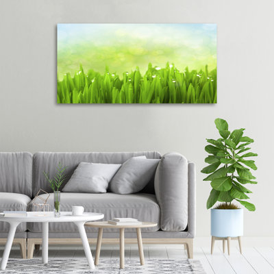 Grass - No Frame Print on Glass