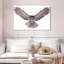 Owl Power-107703801