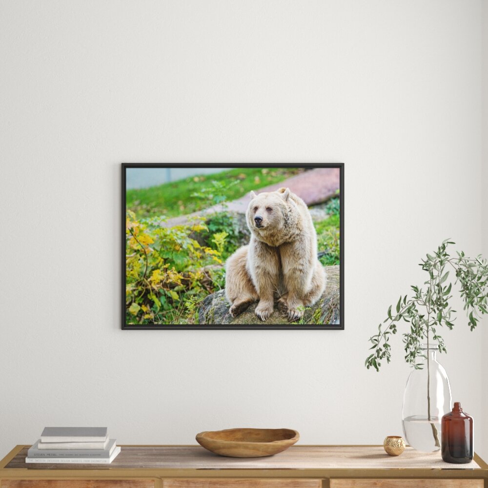 Gerahmtes Wandbild niedlicher Grizzlybär auf Stein