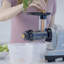 BioChef Axis 150 Watt Electric Slow Masticating & Cold Press Juicer-61340675