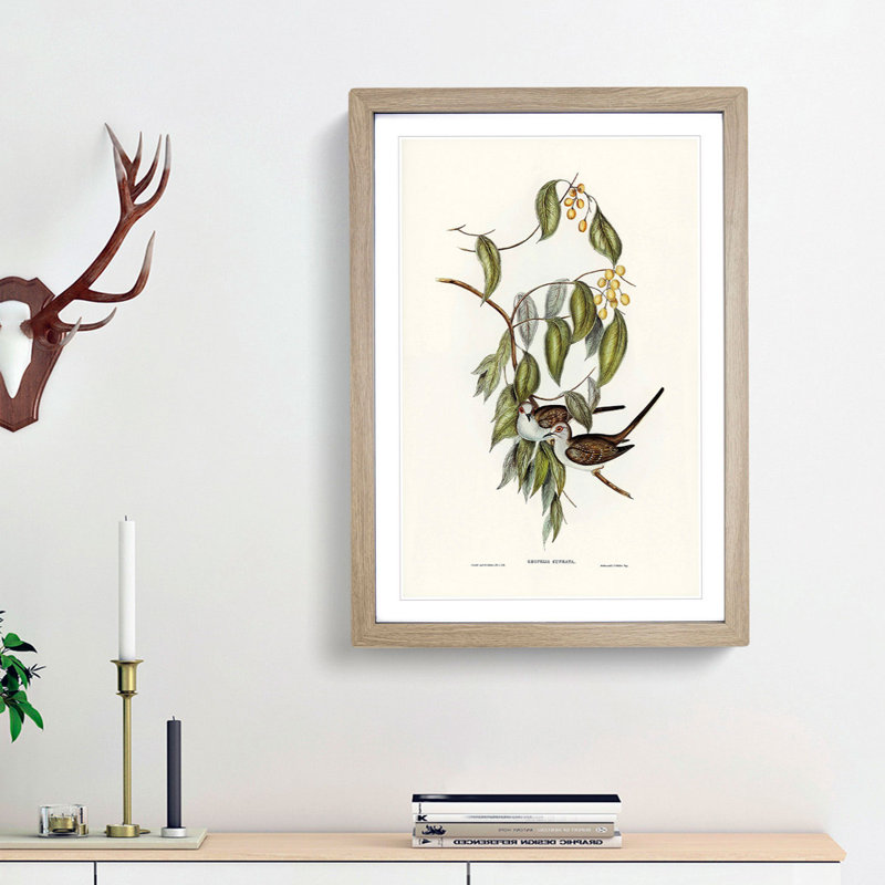 Graceful Ground Doves by Elizabeth Gould - Picture Frame Graphic Art Print, Oak Framed, 48cm H x 36cm W x 2cm D