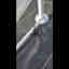 Photos des clients 2 de 3