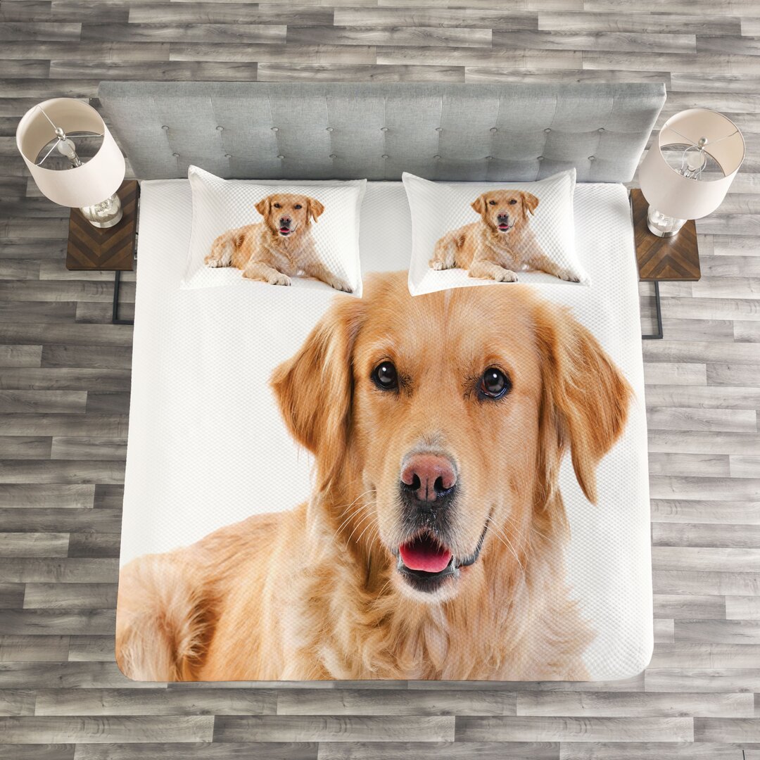 Gestepptes Bettdecken-Set, junge Welpen, Golden Retriever, Braun Weiß Sand