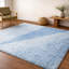 Tapis à poil long de qualité supérieure lavable à la machine ADS706-19867538-19867558
