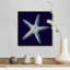« Indigo shells IV » par vision studio-impression-538534982-538534983